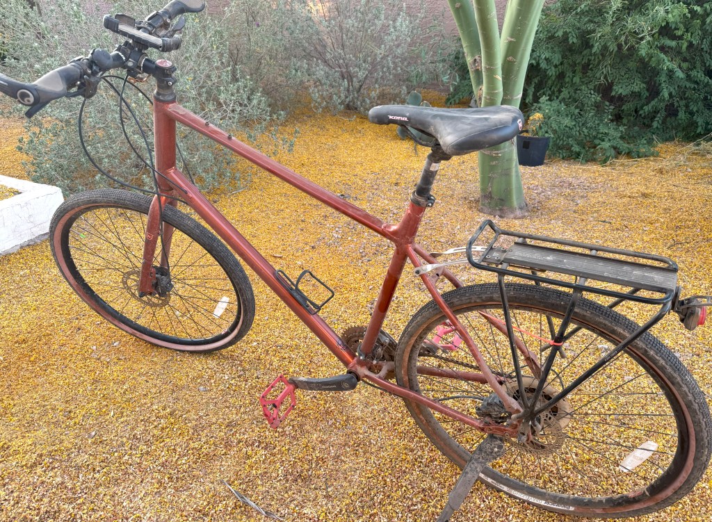 A dusty bicycle sits in a yard. 