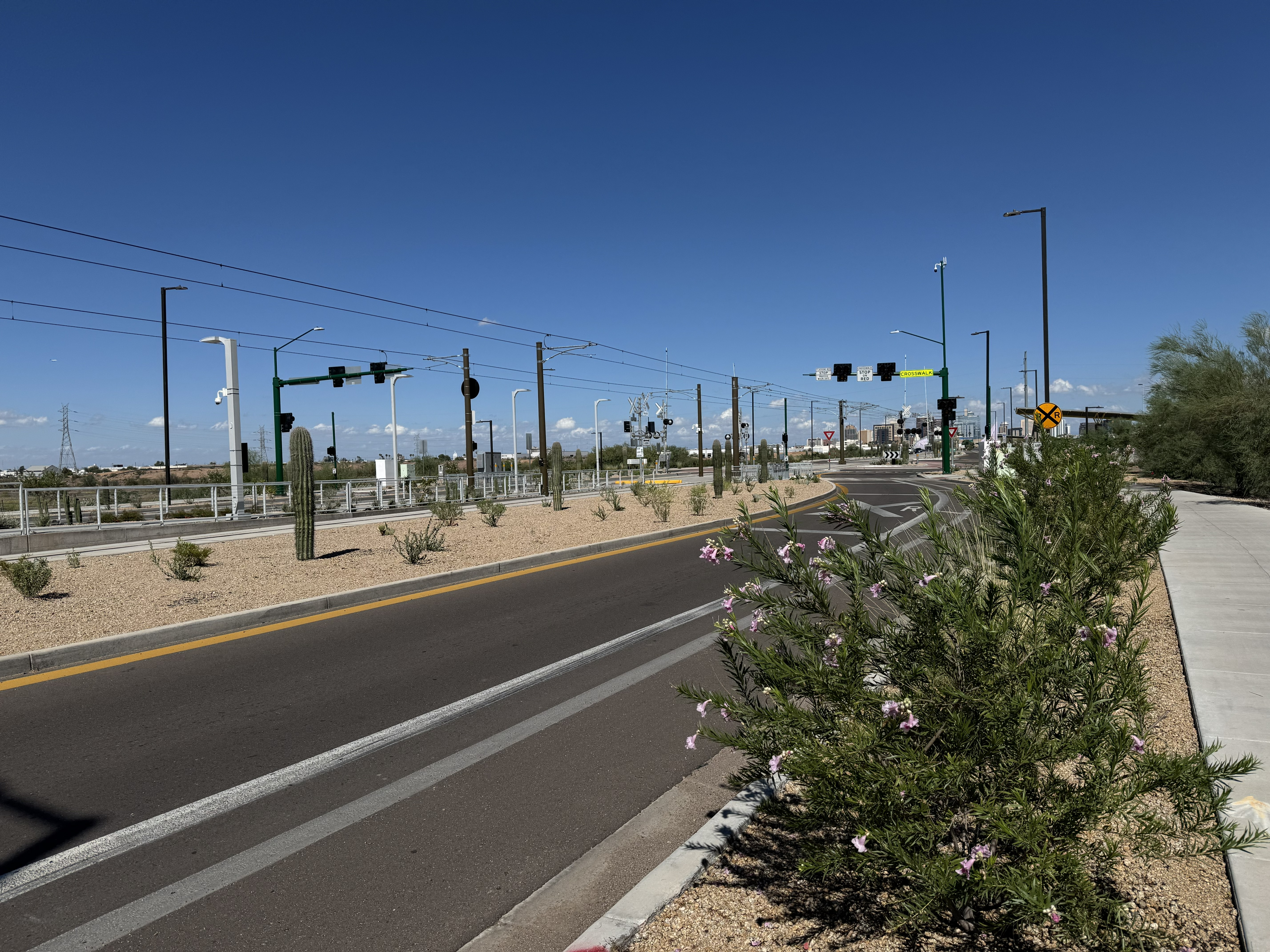 Desert landscaping along Central Avenue