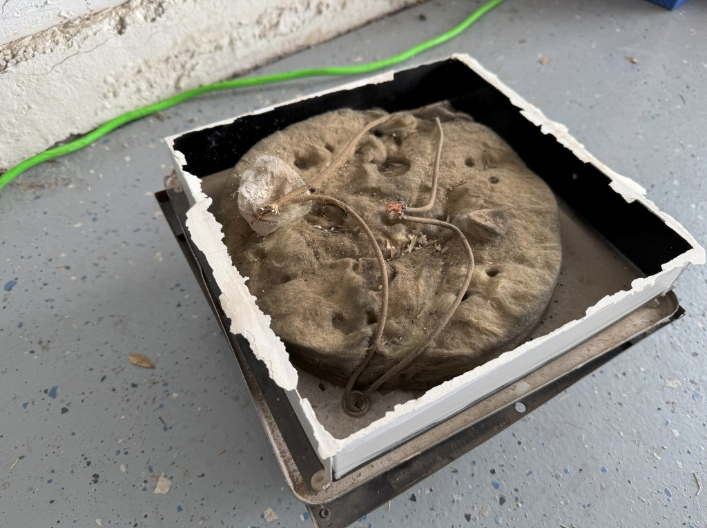 Old wiring and insulation inside an old light fixture