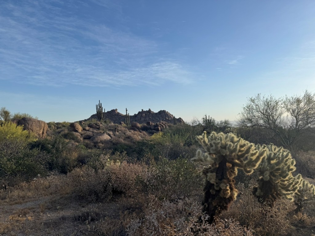 How I Survive Phoenix Summers: Simple Habits for Desert&nbsp;Heat