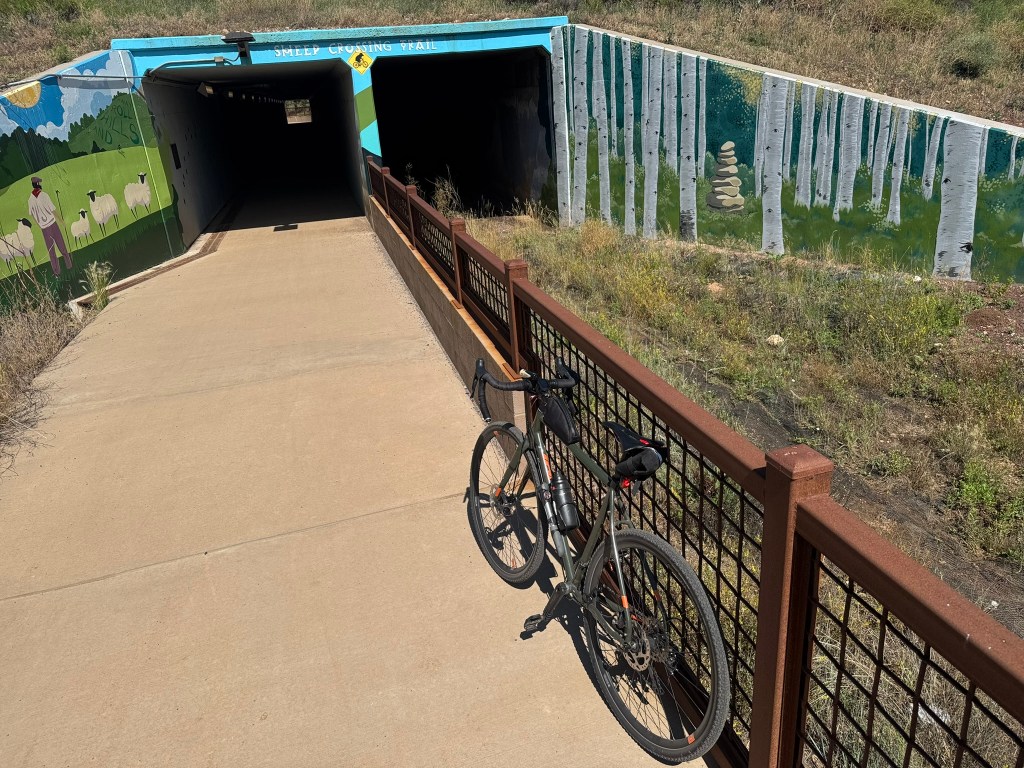 A bike leans against a fence at a pathway underpass beneath a highway